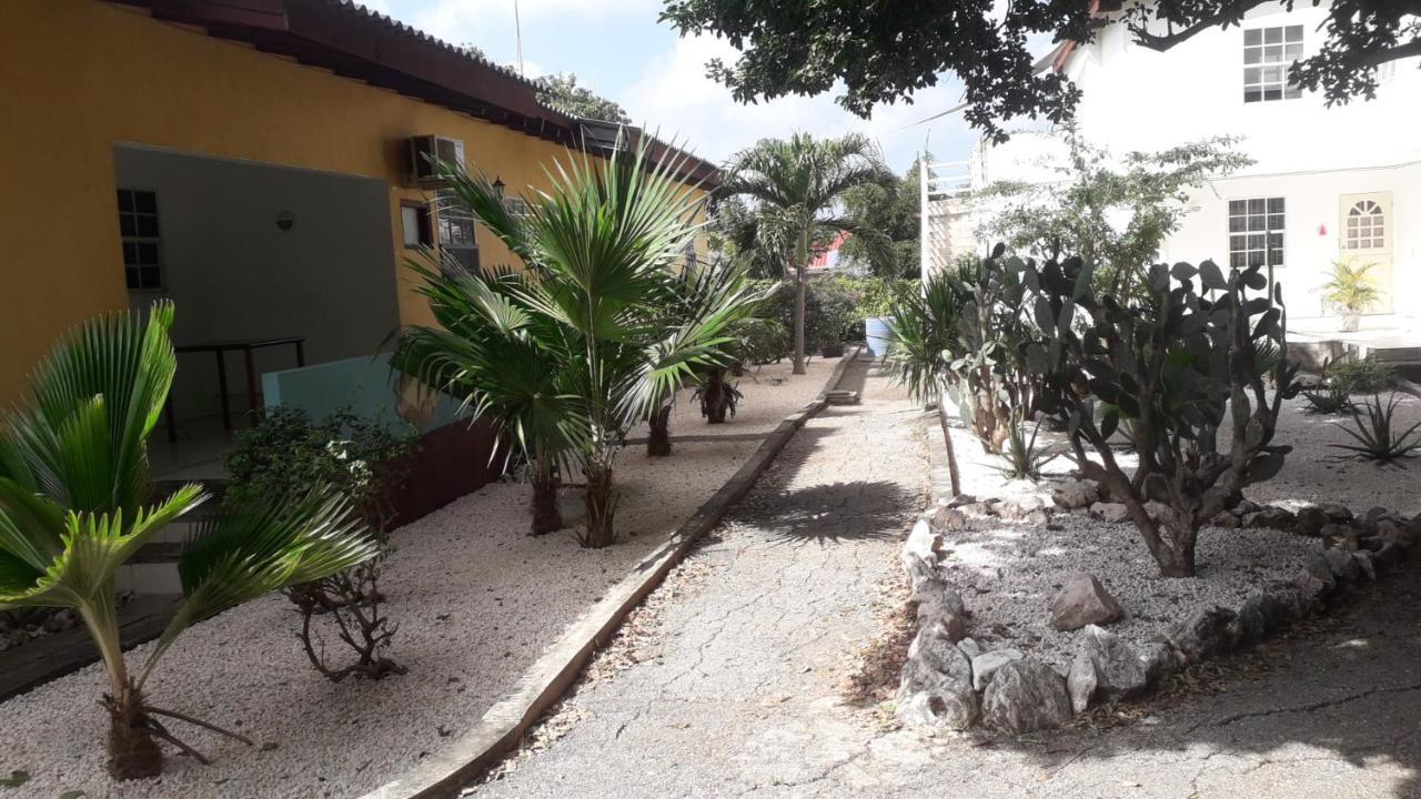 Happy Turtle Apartments Willemstad Exterior foto