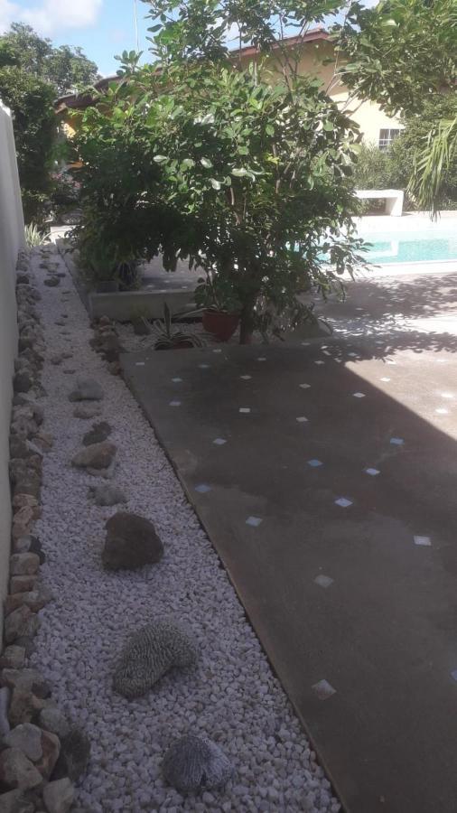Happy Turtle Apartments Willemstad Exterior foto